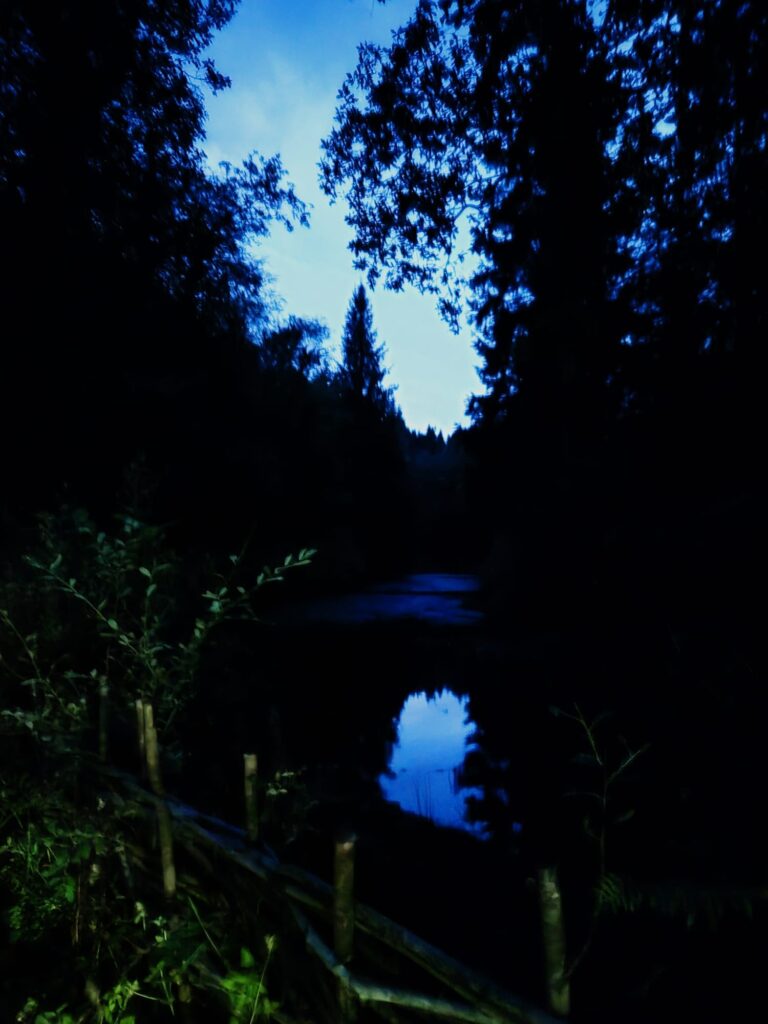 the longpond in the dark