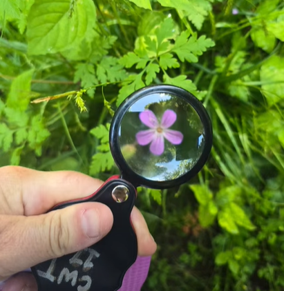 Picture by Women Wellbeing Walks 